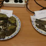 Noc Biologów w UJK / Kamil Król / Radio Kielce