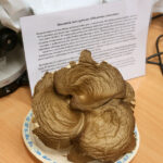 Noc Biologów w UJK / Kamil Król / Radio Kielce