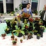 Noc Biologów w UJK / Kamil Król / Radio Kielce