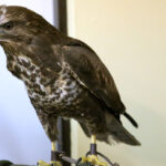 Noc Biologów w UJK / Kamil Król / Radio Kielce