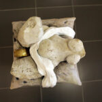 Wystawy doroczne – ZPAP ZPAR ZPAF PSEP Kapitał sztuki / suplement 2014 / Wojciech Habdas / Radio Kielce