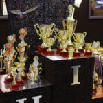 9.1.2015 Kielce. Na ogólnopolskiej wystawie gołębi w Targach Kielce można zobaczyć ponad 1600 ptaków. Odwiedzający mogą też zapoznać się z ofertą producentów odżywek, karmy i gołębników. / Wojciech Habdas / Radio Kielce