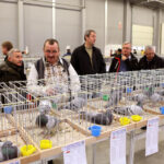 9.1.2015 Kielce. Na ogólnopolskiej wystawie gołębi w Targach Kielce można zobaczyć ponad 1600 ptaków. Odwiedzający mogą też zapoznać się z ofertą producentów odżywek, karmy i gołębników. / Wojciech Habdas / Radio Kielce