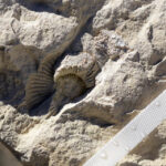 13.1.2015 Św. Krzyż. Trwają prace renowacyjne bazyliki mniejszej. Do marca br. zostanie odrestaurowana zabytkowa posadzka w kościele i kruchcie, zostanie poddany konserwacji ołtarz, zabytkowe tabernakulum i figury aniołów. / Wojciech Habdas / Radio Kielce