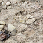 13.1.2015 Św. Krzyż. Trwają prace renowacyjne bazyliki mniejszej. Do marca br. zostanie odrestaurowana zabytkowa posadzka w kościele i kruchcie, zostanie poddany konserwacji ołtarz, zabytkowe tabernakulum i figury aniołów. / Wojciech Habdas / Radio Kielce