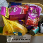 Dzień Kota w Muzeum Zabawek i Zabawy / Kamil Król / Radio Kielce