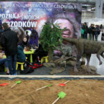 Targi EDUKACJA 2015 / Kamil Król / Radio Kielce