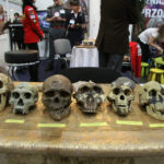 Targi EDUKACJA 2015 / Kamil Król / Radio Kielce