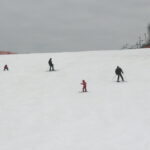 Konary / Grażyna Szlęzak-Wójcik / Radio Kielce