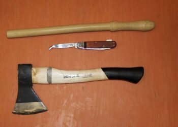 Zatrzymanie kibiców Legii i Stali Mielec / Policja