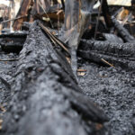 Spalona hala w suchedniowskiej fabryce mebli (22 marca 2015 r.) / Piotr Michalski / Radio Kielce