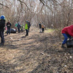 Akcja "Zróbmy sobie park" na kieleckim Czarnowie / Robert Felczak / Radio Kielce