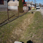 Zarośnięte rowy melioracyjne w Bodzechowie / Teresa Czajkowska / Radio Kielce