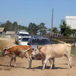 Celem wyprawy Koleją Transsyberyjską, liczącej ponad 5 tysięcy kilometrów była wizyta nad najgłębszym słodkowodnym jeziorem świata – Bajkałem. / Tomasz Tułak