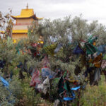 Celem wyprawy Koleją Transsyberyjską, liczącej ponad 5 tysięcy kilometrów była wizyta nad najgłębszym słodkowodnym jeziorem świata – Bajkałem. / Tomasz Tułak