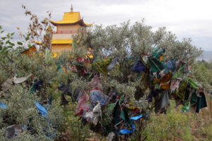 Celem wyprawy Koleją Transsyberyjską, liczącej ponad 5 tysięcy kilometrów była wizyta nad najgłębszym słodkowodnym jeziorem świata – Bajkałem. / Tomasz Tułak