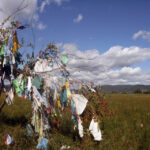 Celem wyprawy Koleją Transsyberyjską, liczącej ponad 5 tysięcy kilometrów była wizyta nad najgłębszym słodkowodnym jeziorem świata – Bajkałem. / Tomasz Tułak