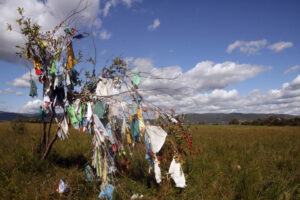 Celem wyprawy Koleją Transsyberyjską, liczącej ponad 5 tysięcy kilometrów była wizyta nad najgłębszym słodkowodnym jeziorem świata – Bajkałem. / Tomasz Tułak