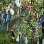 Celem wyprawy Koleją Transsyberyjską, liczącej ponad 5 tysięcy kilometrów była wizyta nad najgłębszym słodkowodnym jeziorem świata – Bajkałem. / Tomasz Tułak