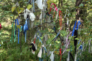 Celem wyprawy Koleją Transsyberyjską, liczącej ponad 5 tysięcy kilometrów była wizyta nad najgłębszym słodkowodnym jeziorem świata – Bajkałem. / Tomasz Tułak