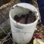 Znalezione niewybuchy w gminie Lipnik, w powiecie opatowskim / KPP Opatów