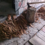 Nielegalny towar u czterech mieszkańców województwa świętokrzyskiego / Policja