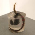 Dwie nowe ekspozycje w kieleckim BWA (17 kwietnia 2015 r.) / Piotr Michalski / Radio Kielce