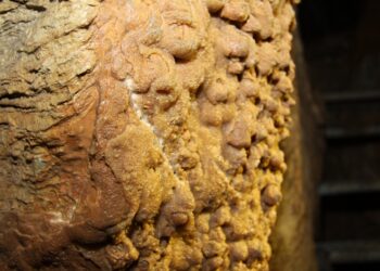 Świętokrzyskie na Fali - Przybij Piątkę z Radiem Kielce na kieleckiej Kadzielni.podziemna trasa turystyczna w połączonych jaskiniach odkrywców Prochownia i Szczelina. / Piotr Michalski / Radio Kielce