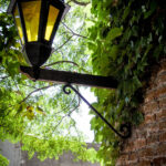 "Urugwaj – dziewiczy raj” - wystawie fotograficzna Virginii Zabalety Stirling / Virginia Zabaleta Stirling