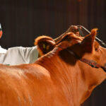 "Urugwaj – dziewiczy raj” - wystawie fotograficzna Virginii Zabalety Stirling / Virginia Zabaleta Stirling