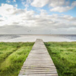 "Urugwaj – dziewiczy raj” - wystawie fotograficzna Virginii Zabalety Stirling / Virginia Zabaleta Stirling