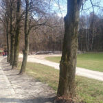 12.4.2015 Kielce. Zamek w Chęcinach po remoncie przyciąga setki turystów. U stóp wzgórza zamkowego wybudowano parking, punkt informacji turystycznej, stragany z pamiątkami, a także toalety. Powstała także oświetlona aleja wiodąca na zamek. / Robert Felczak / Radio Kielce