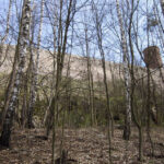 12.4.2015 Kielce. Zamek w Chęcinach po remoncie przyciąga setki turystów. U stóp wzgórza zamkowego wybudowano parking, punkt informacji turystycznej, stragany z pamiątkami, a także toalety. Powstała także oświetlona aleja wiodąca na zamek. / Robert Felczak / Radio Kielce