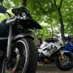 Festyn rodzinny w Parku Miejskim (30 maja 2015 r.) / Piotr Michalski / Radio Kielce