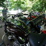 Festyn rodzinny w Parku Miejskim (30 maja 2015 r.) / Piotr Michalski / Radio Kielce