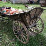 Atrakcje w Parku Etnograficznym w Tokarni (10 maja 2015 r.) / Piotr Michalski / Radio Kielce