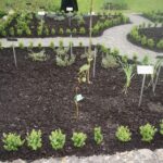 Grażyna Szlęzak - Wójcik / Radio Kielce