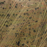 Malowanie na wodzie w kieleckim Plastyku (26 maja 2015 r.) / Piotr Michalski / Radio Kielce