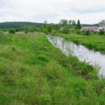 28.05.2015. Miejsce, gdzie ma powstać staw białogoński / Kamil Król / Radio Kielce