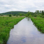 28.05.2015. Miejsce, gdzie ma powstać staw białogoński / Kamil Król / Radio Kielce