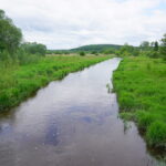 28.05.2015. Miejsce, gdzie ma powstać staw białogoński / Kamil Król / Radio Kielce