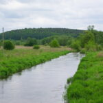 28.05.2015. Miejsce, gdzie ma powstać staw białogoński / Kamil Król / Radio Kielce