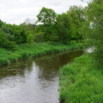 28.05.2015. Miejsce, gdzie ma powstać staw białogoński / Kamil Król / Radio Kielce