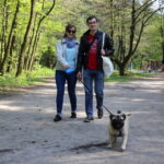 Spacer buldożków w parku linowym w Kielcach / Kamil Król / Radio Kielce