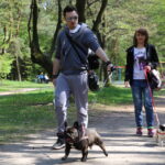 Spacer buldożków w parku linowym w Kielcach / Kamil Król / Radio Kielce