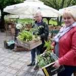 17.05.2015 W domu Środowisk Twórczych można było wymienić się sadzonkami roślin / Stanisław Blinstrub / Radio Kielce