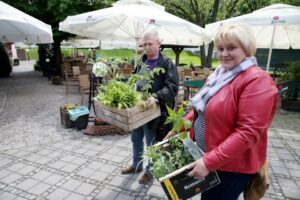 17.05.2015 W domu Środowisk Twórczych można było wymienić się sadzonkami roślin / Stanisław Blinstrub / Radio Kielce