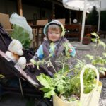 17.05.2015 W domu Środowisk Twórczych można było wymienić się sadzonkami roślin / Stanisław Blinstrub / Radio Kielce