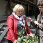 17.05.2015 W domu Środowisk Twórczych można było wymienić się sadzonkami roślin / Stanisław Blinstrub / Radio Kielce