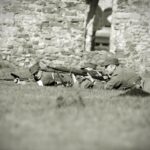 02.05.2017 Samsonów. W Obronie Biało-Czerwonej. Rekonstrukcja. / Stanisław Blinstrub / Radio Kielce